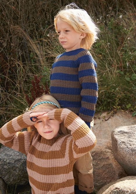 Hovedbilde Pontus stripegenser