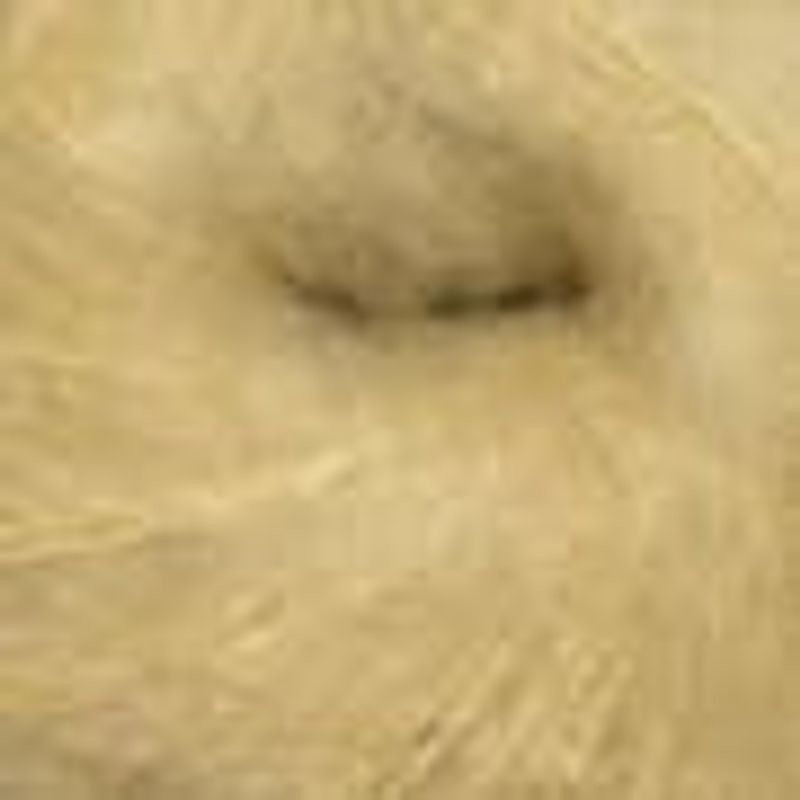 Rauma Tjukk Mohair